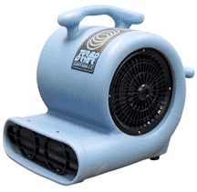 RENTAL FLOOR FAN/CARPET DRYER BLOWER # __________