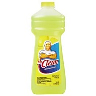 80573 MR. CLEAN S CITRUS SUMMER CITRUS 9/28