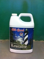 REVITALIZE CLEANER/RESTORER GL CLEANER AND RESTORER