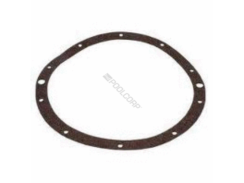 LIGHT GASKET LARGE PAPER 10 HOLE NICHE ASTROLITE SPX0506D