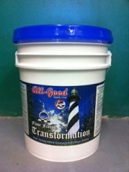 TRANSFORM.HI.SPD.25%FINISH PL 5 GALLON PAIL